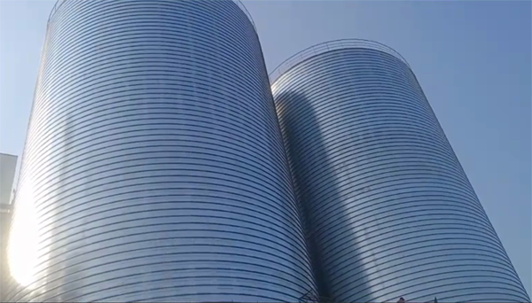 景东2座混凝土高架卷板仓